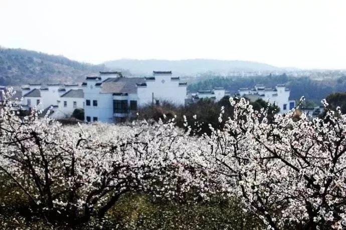 生化危机3